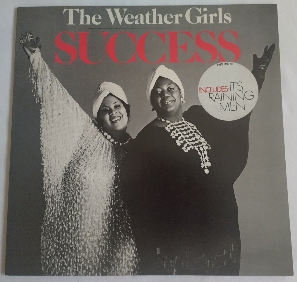 LP The Weather Girls – Success NL 1983 CBS 25719, Originele persing, 1980 - 1989, Ophalen of Verzenden, Zo goed als nieuw