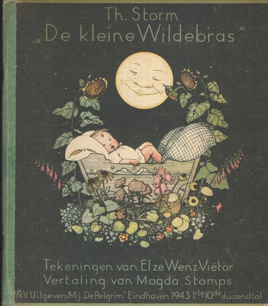 De kleine wildebras - Theodor Storm, Gelezen, Fictie algemeen, Jongen of Meisje, Ophalen of Verzenden