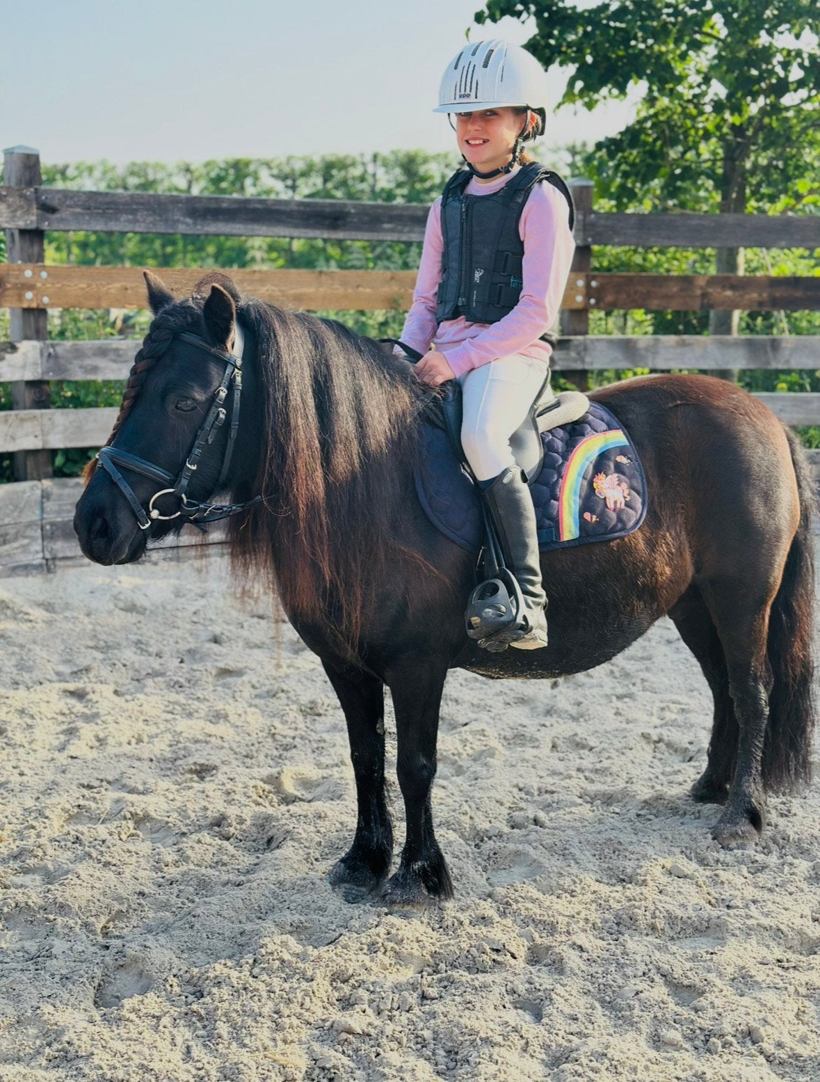 Mega knappe grote shetlander merrie, Dieren en Toebehoren, Pony's, Merrie, Met stamboom, Zadelmak, A pony (tot 1.17m)