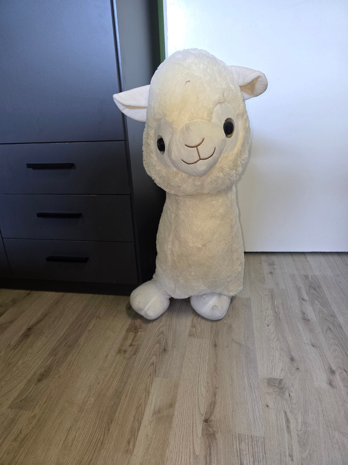 Grote knuffel, Ophalen
