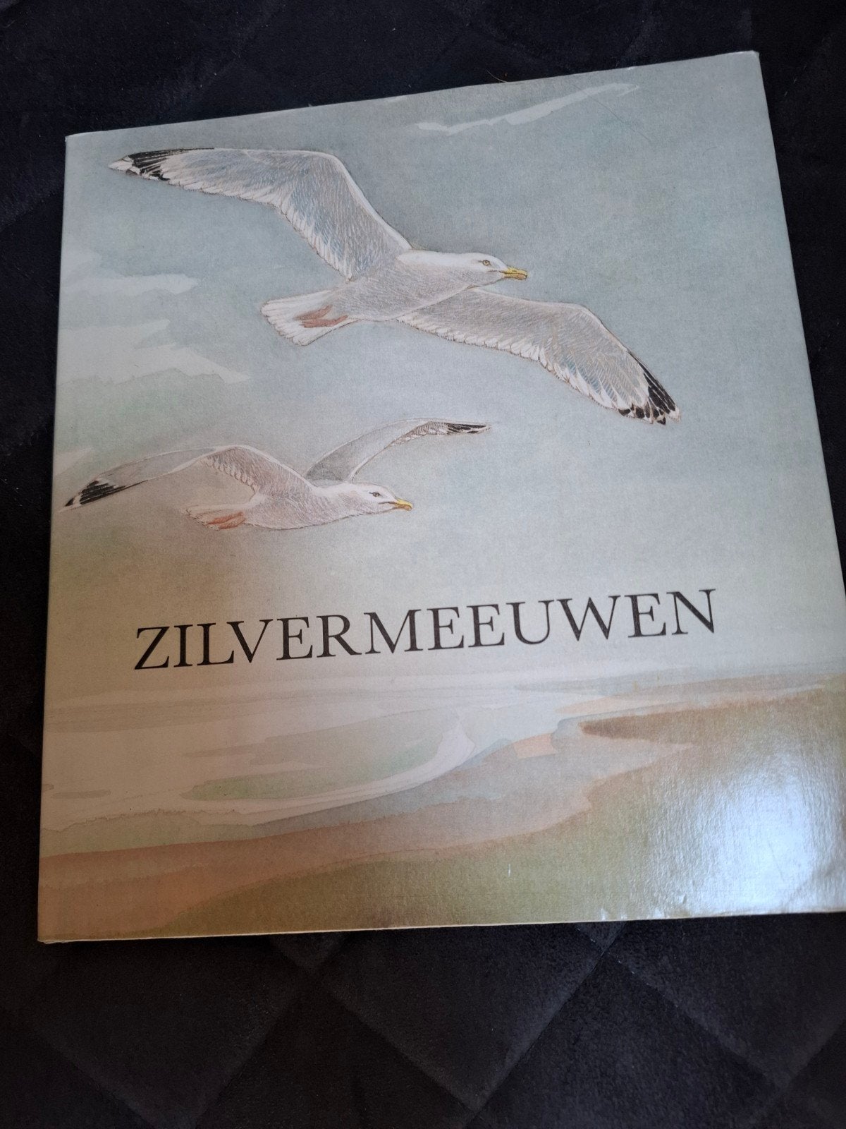 Boek Zilvermeeuwen - In goede staat, Boeken, Ophalen of Verzenden
