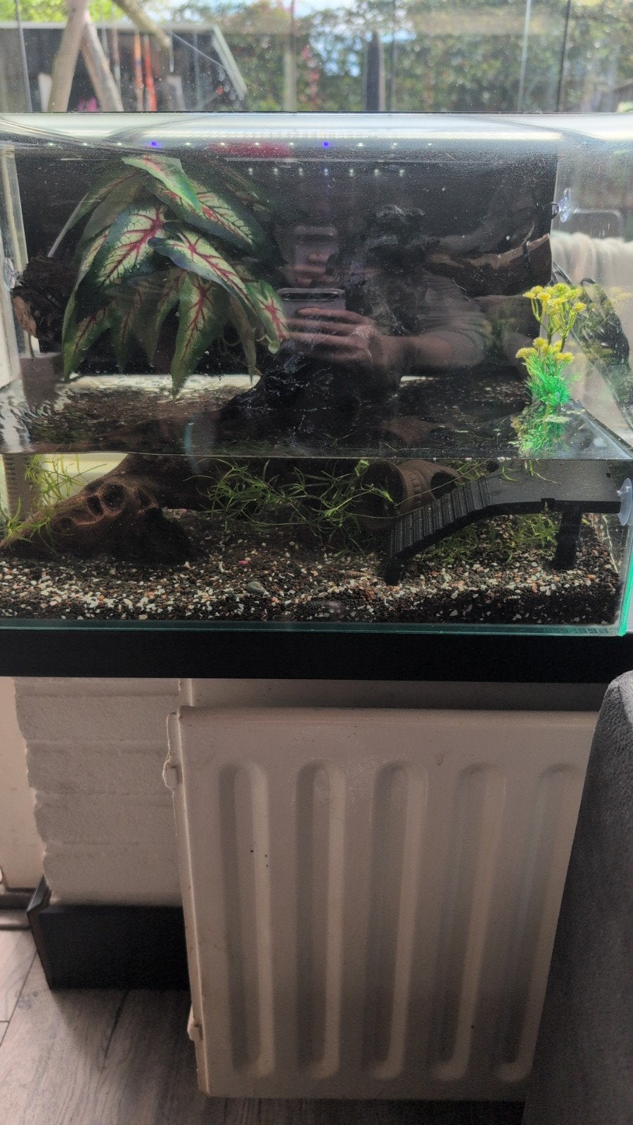 leuk teranium gratis, Dieren en Toebehoren, Ophalen of Verzenden, Gebruikt, Leeg aquarium