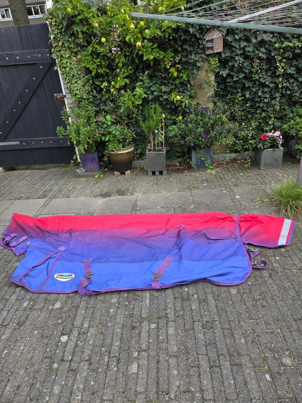 Weatherbeeta regendeken met vaste hals 0 gr., mt 6'3, Gebruikt, Overige merken, 0 g, Ophalen of Verzenden