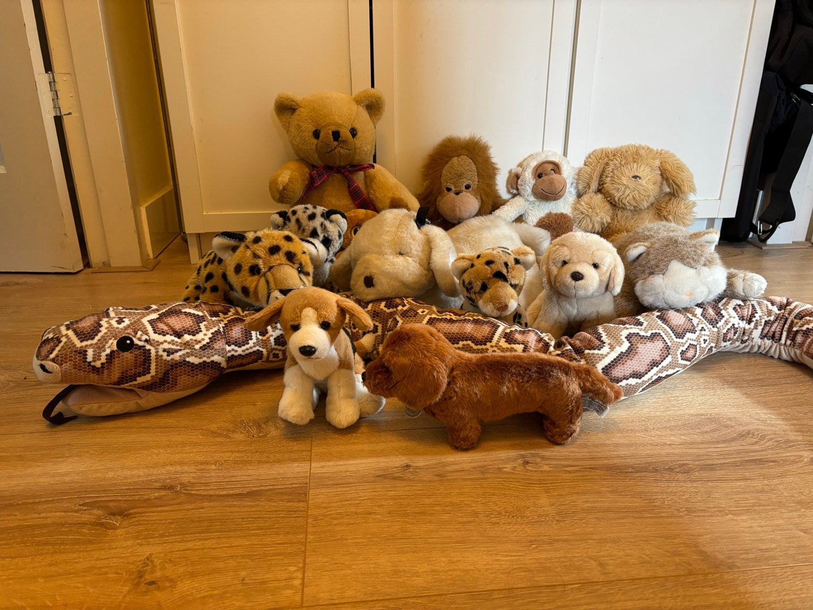 Collectie knuffels, Ophalen, Gebruikt, Hond, Klein (minder dan 20 cm)