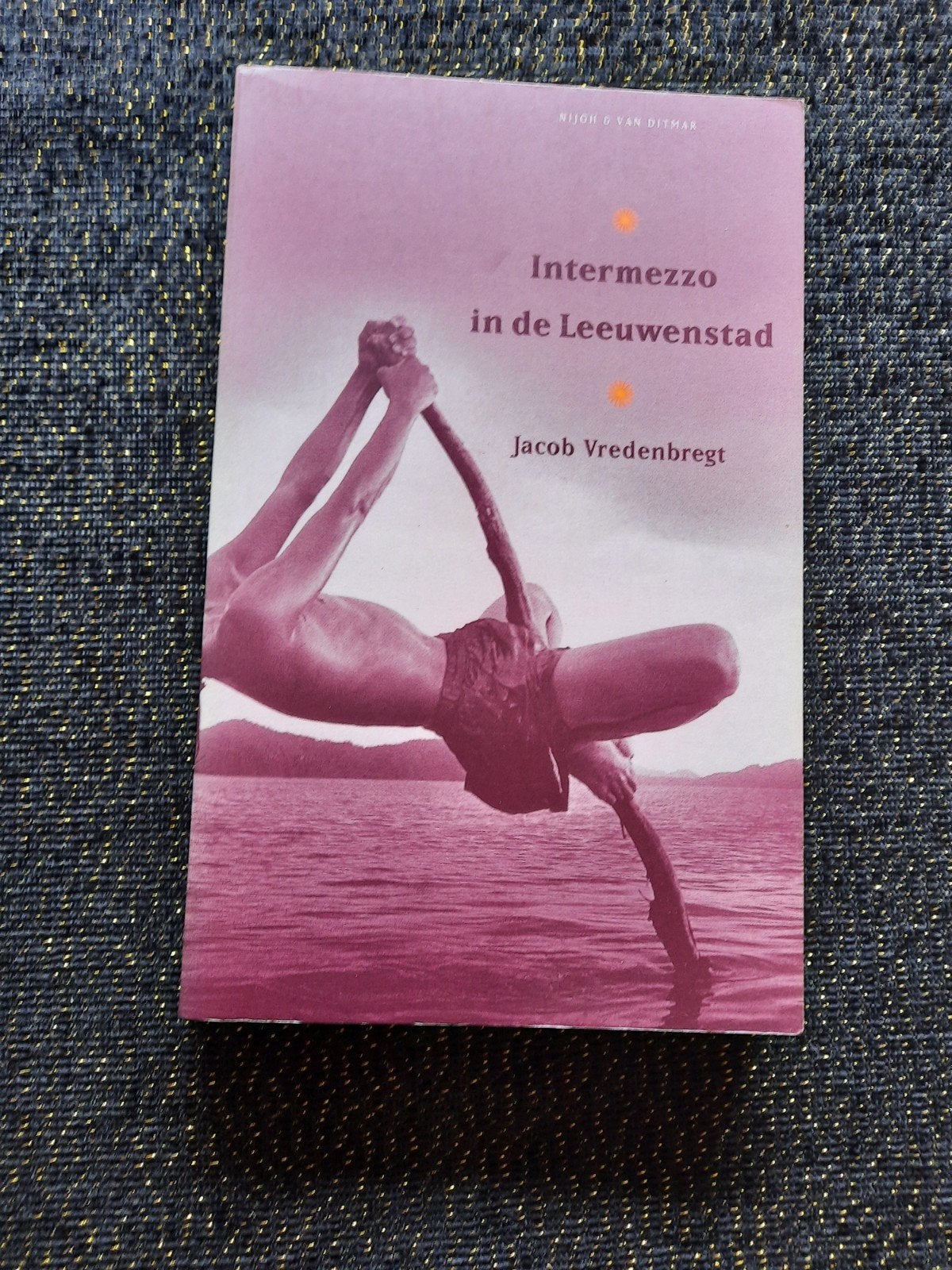 Intermezzo in de Leeuwenstad - Jacob Vredenbregt (Paperback), Boeken, Ophalen of Verzenden, Gelezen, Jacob Vredenbregt