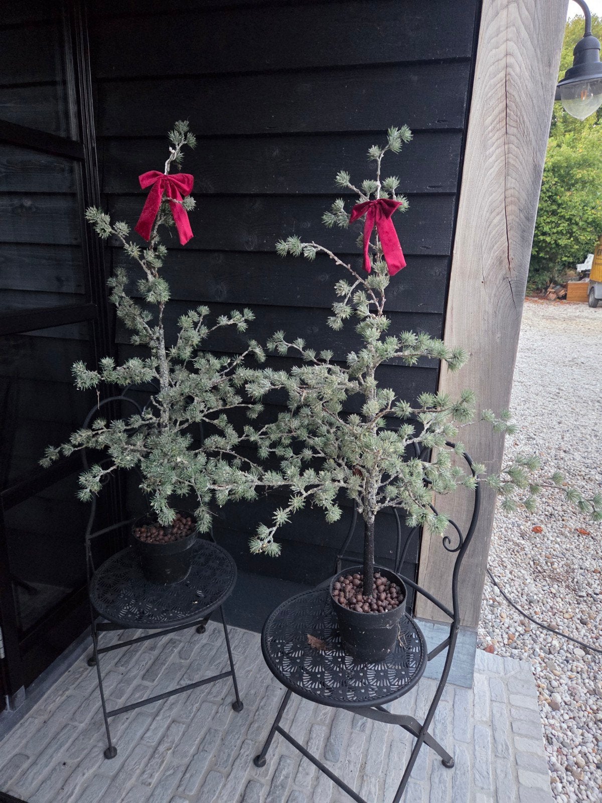2 mooie kunstkerstboompjes leuk voor in huis of voordeur, Ophalen of Verzenden, Halfschaduw, Minder dan 100 cm