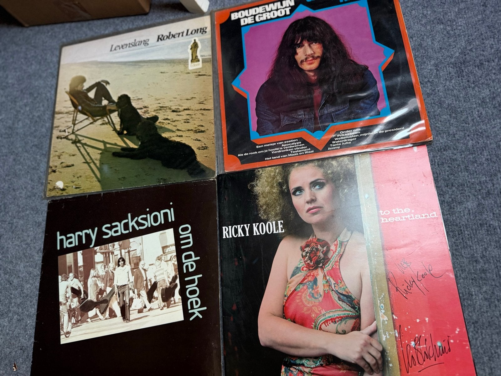 Diverse LP's: Robert Long, Boudewijn de Groot, Harry Sacksio, Cd's en Dvd's, LP, Gebruikt, Ophalen of Verzenden, Pop