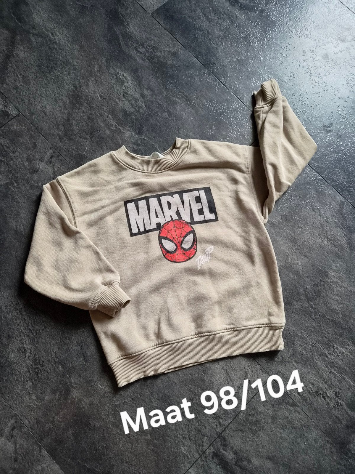 Sweater maat 98 / 104, Kinderen en Baby's, Kinderkleding | Maat 98, Ophalen of Verzenden, Jongen, Trui of Vest
