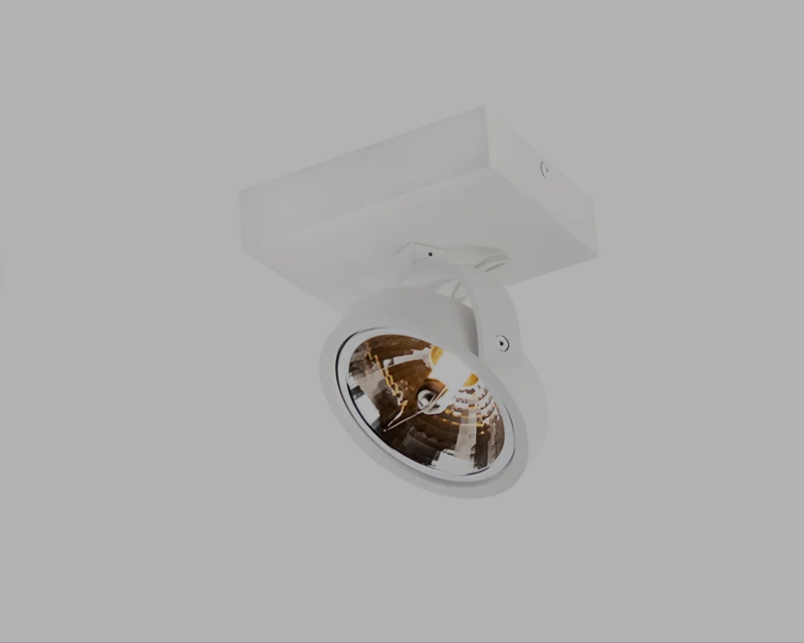 Witte Halogeen Design Plafondspot 2x Dimbaar, Ophalen, Halogeen, Metaal of Aluminium, Zo goed als nieuw