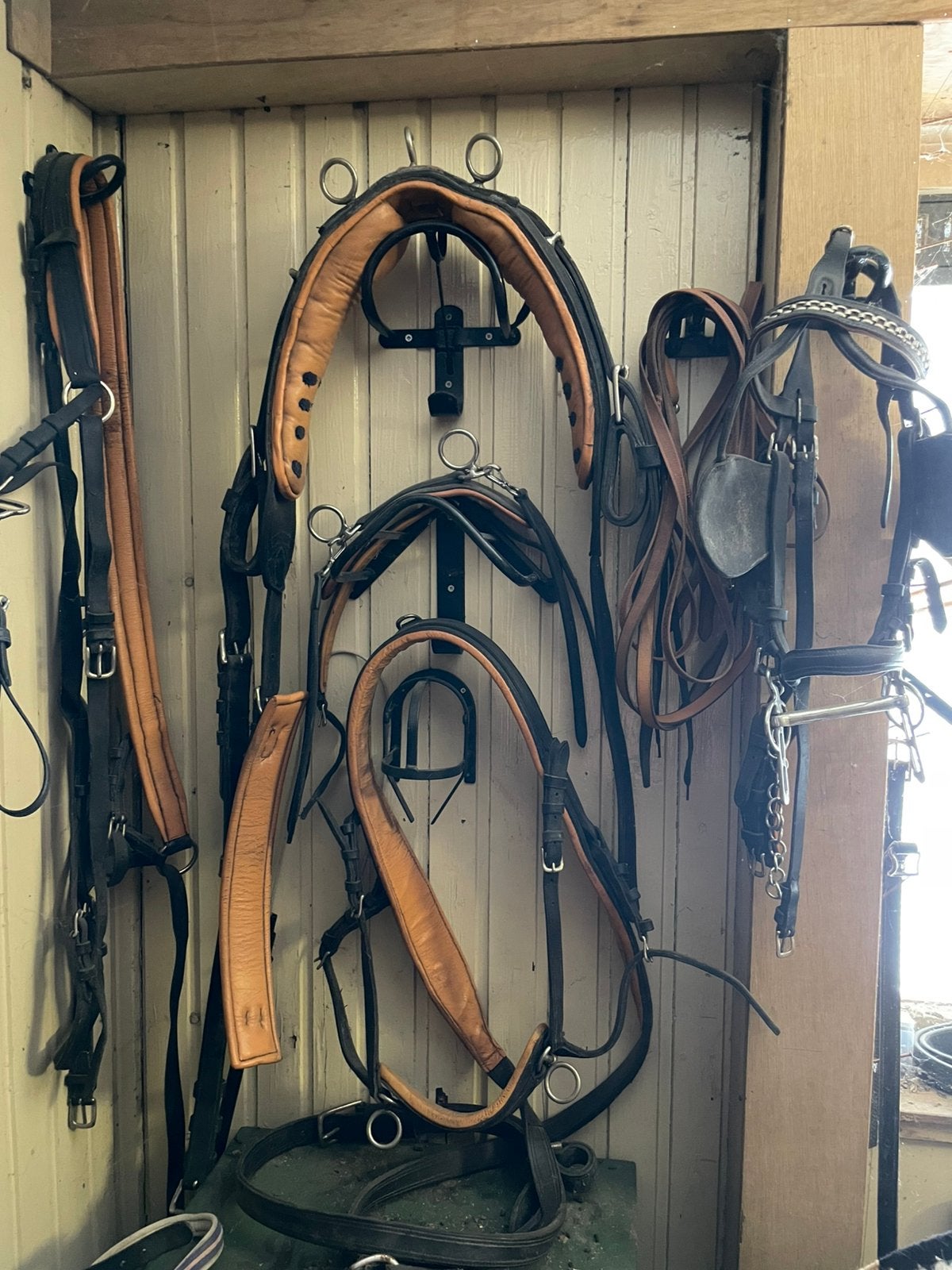 Enkelspan tuig maat cob zwart/cognac in goede staat, Dieren en Toebehoren, Paarden en Pony's | Hoofdstellen en Tuigage, Ophalen