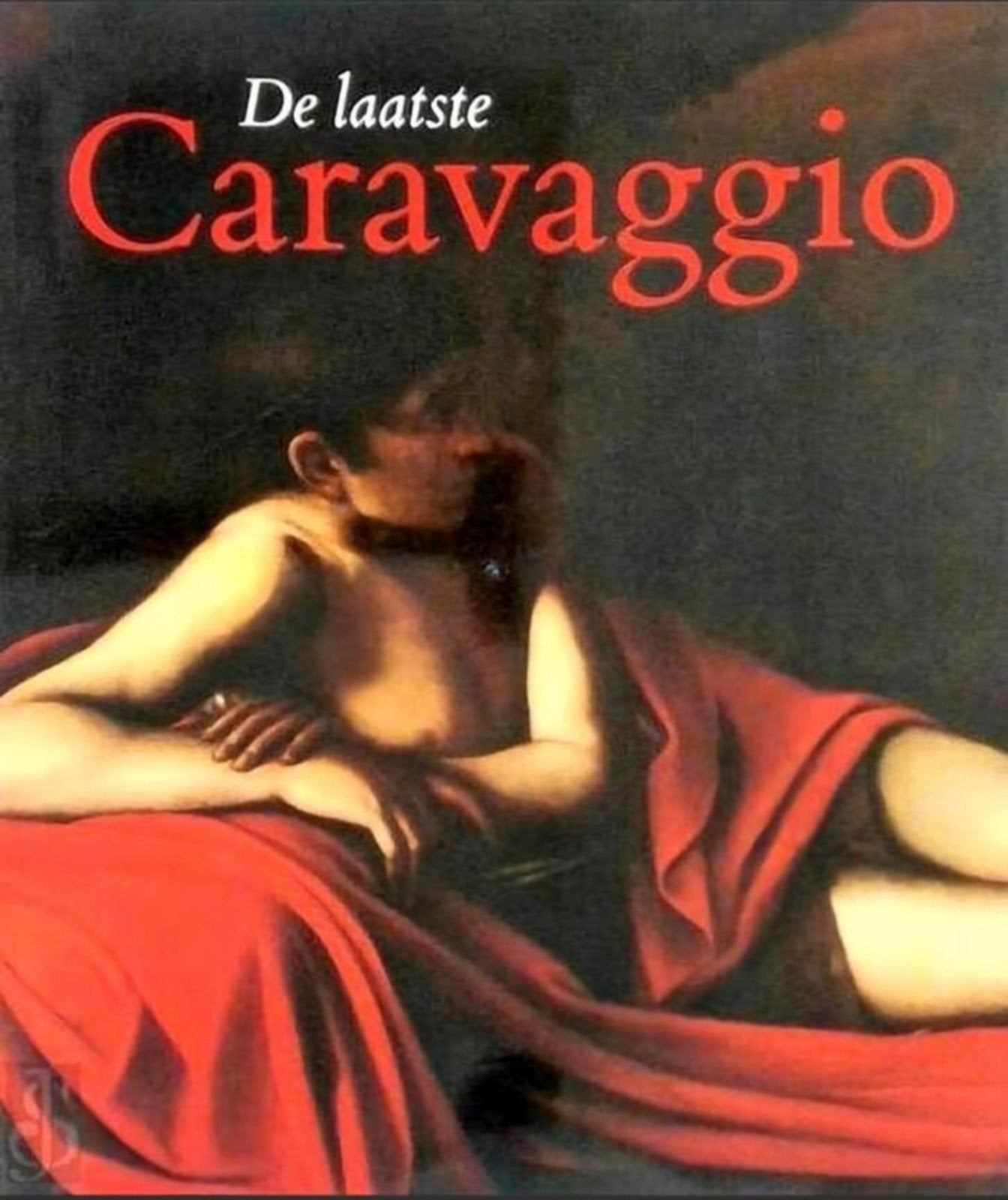 DE LAATSTE CARAVAGGIO. Waanders Nederlands, Boeken, Ophalen of Verzenden, Zo goed als nieuw