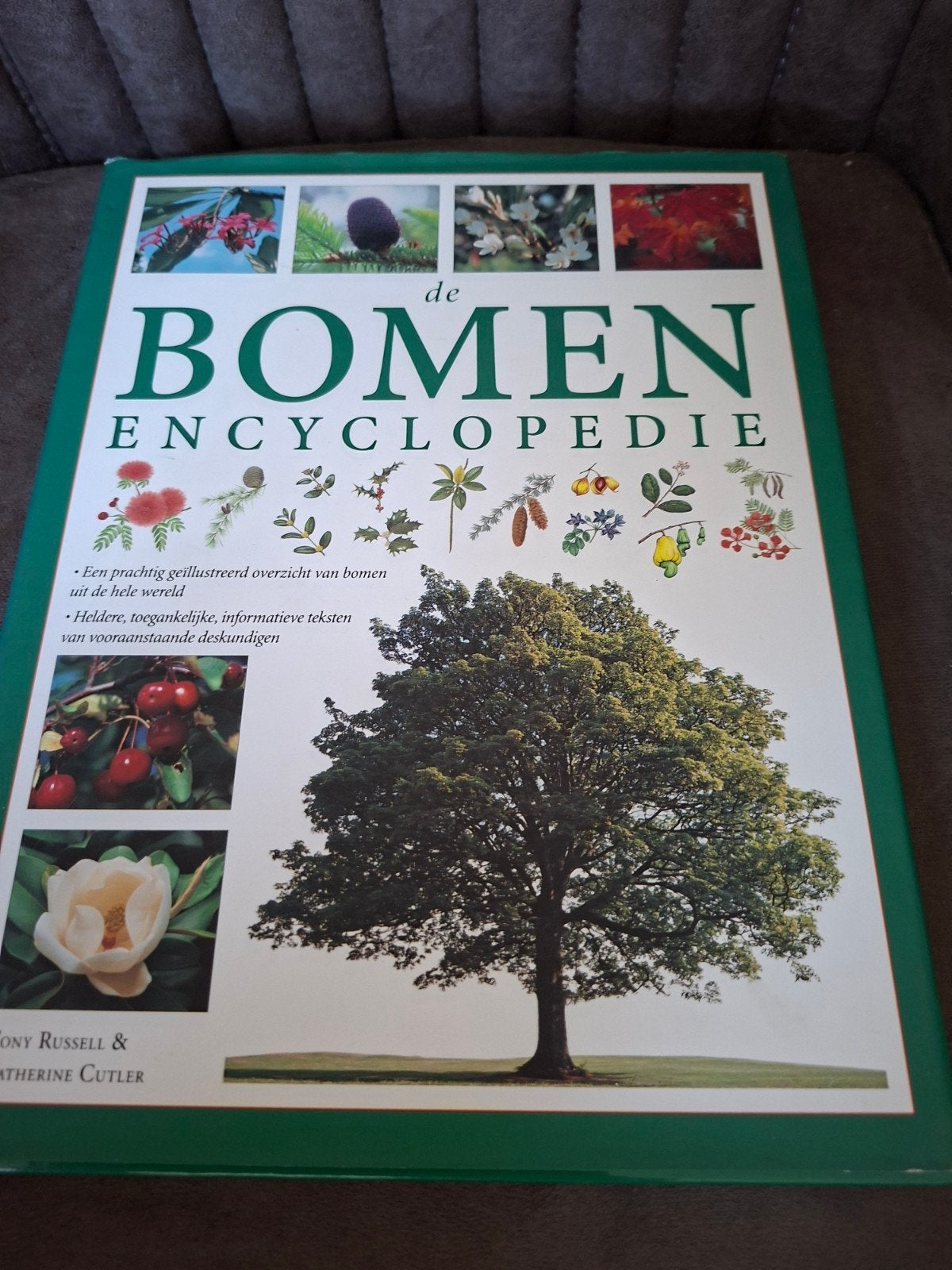 De Bomen Encyclopedie - Geïllustreerde Gids, Boeken, Encyclopedieën, Tony Russell & Catherine Cutler, Ophalen of Verzenden, Zo goed als nieuw