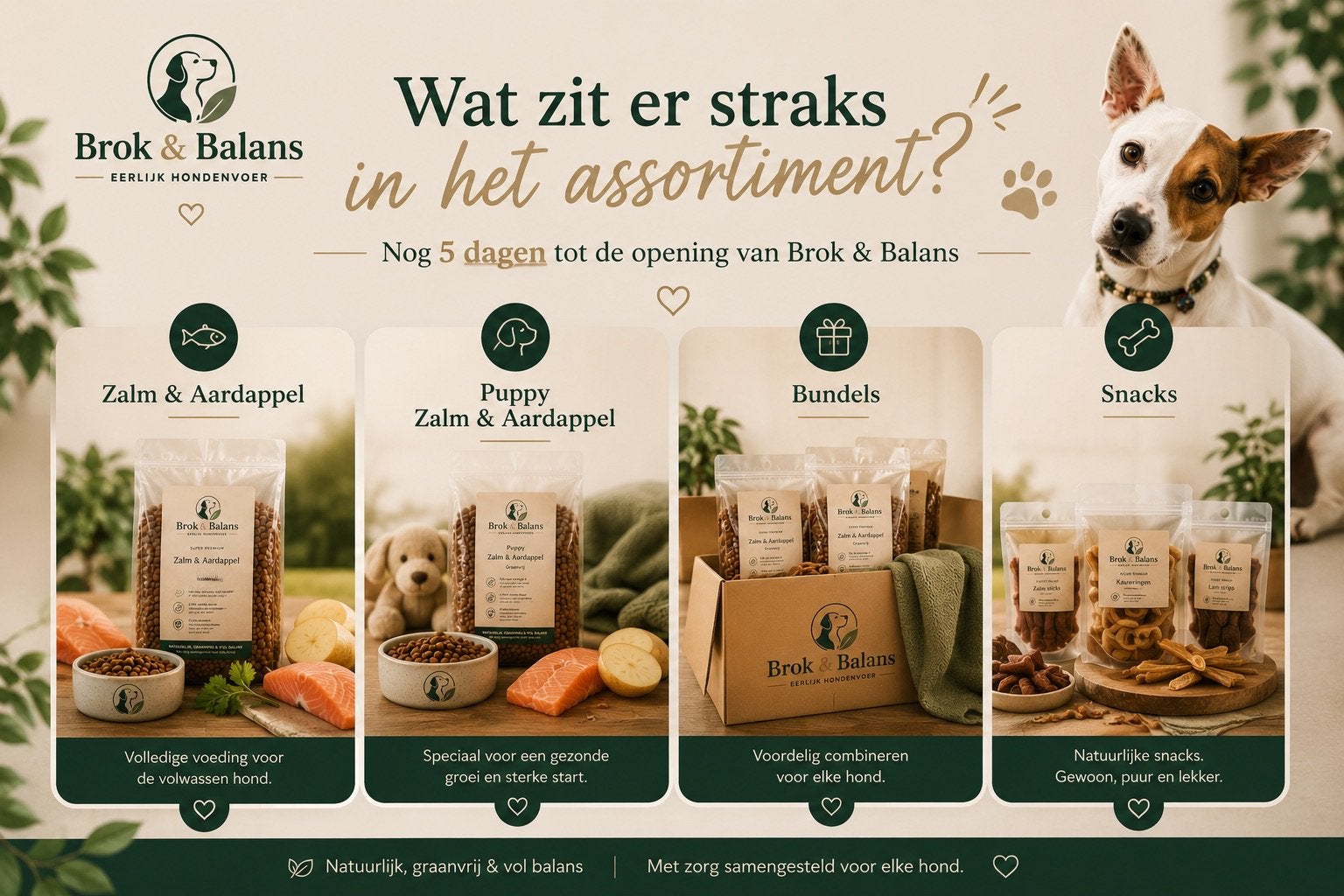 Brok & Balans – voeding met aandacht voor jouw hond, Ophalen of Verzenden, Hond