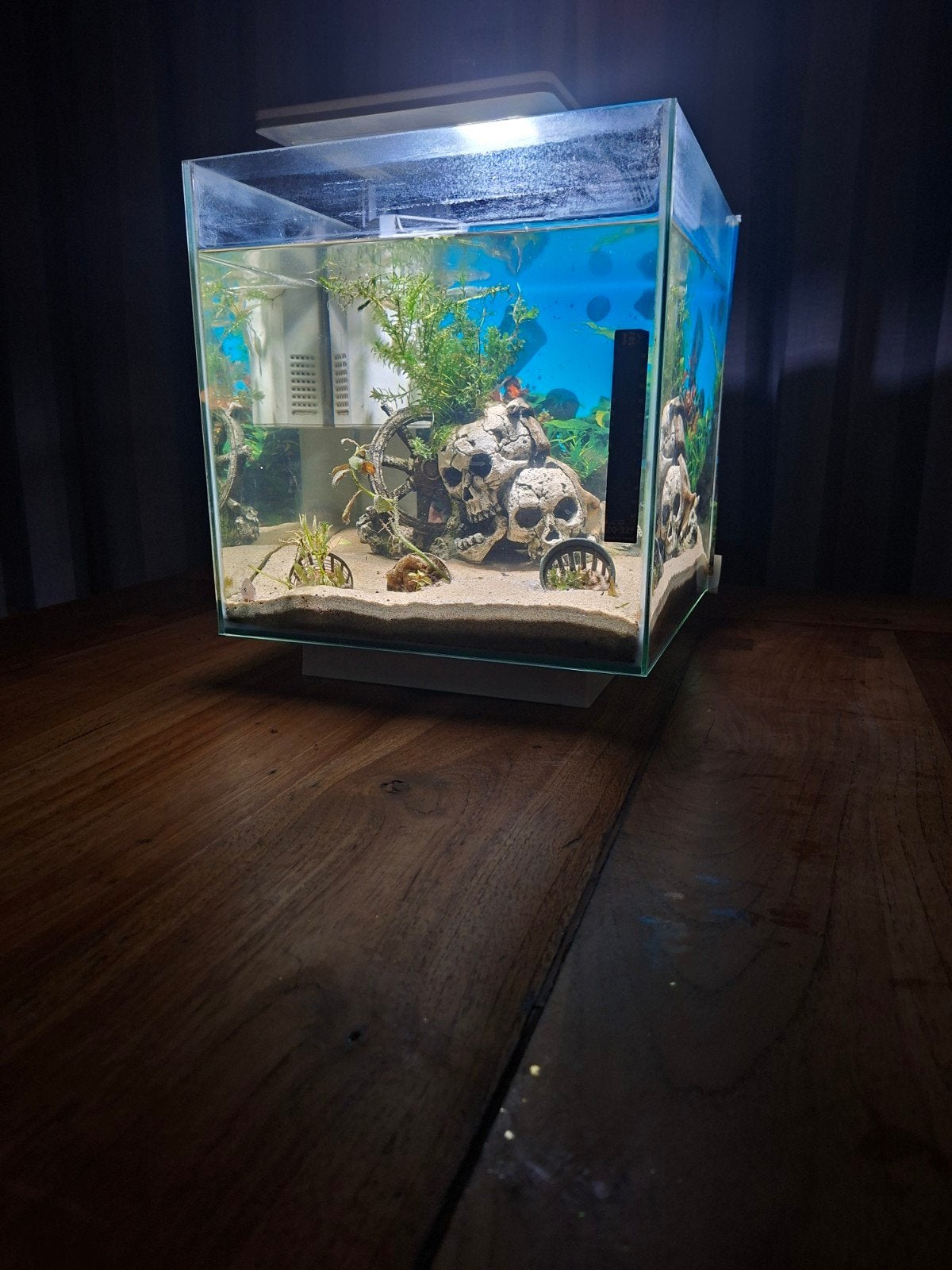aqarium Supervish Qubio 30 Pro 30 liter, Dieren en Toebehoren, Ophalen, Inclusief toebehoren, Superfish, Gevuld zoetwateraquarium