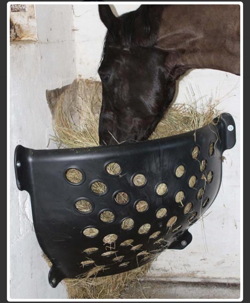 Haybar paard, 1 paard of pony