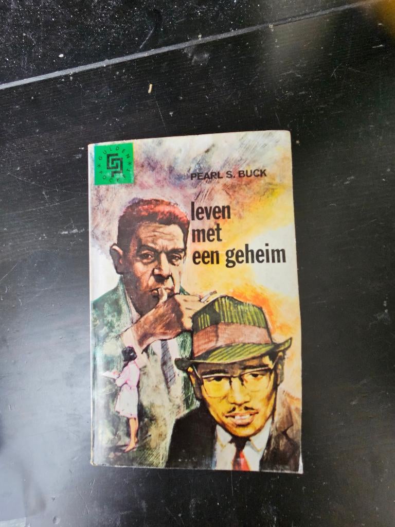 Pearl S Buck - leven met een geheim, Boeken, Ophalen of Verzenden, Gelezen