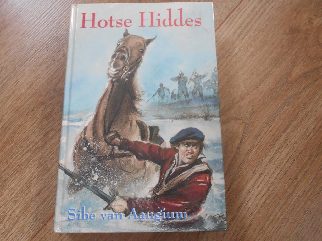 Sibe van Aangium Hotse Hiddes, Ophalen of Verzenden, Zo goed als nieuw