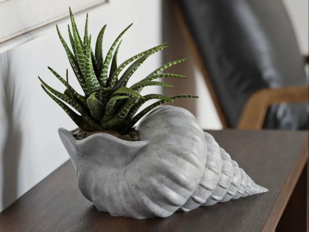 Decoratieve plantenpot in schelpvorm - Zonder plant, Tuin en Terras, Bloempotten, D, Ophalen of Verzenden, D, X