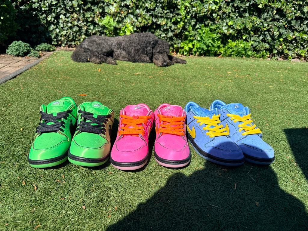 Nike SB “The Power Puff Girls” (42) Nieuw Niet Gedragen, Overige kleuren, Ophalen of Verzenden, Sneakers of Gympen, Zo goed als nieuw
