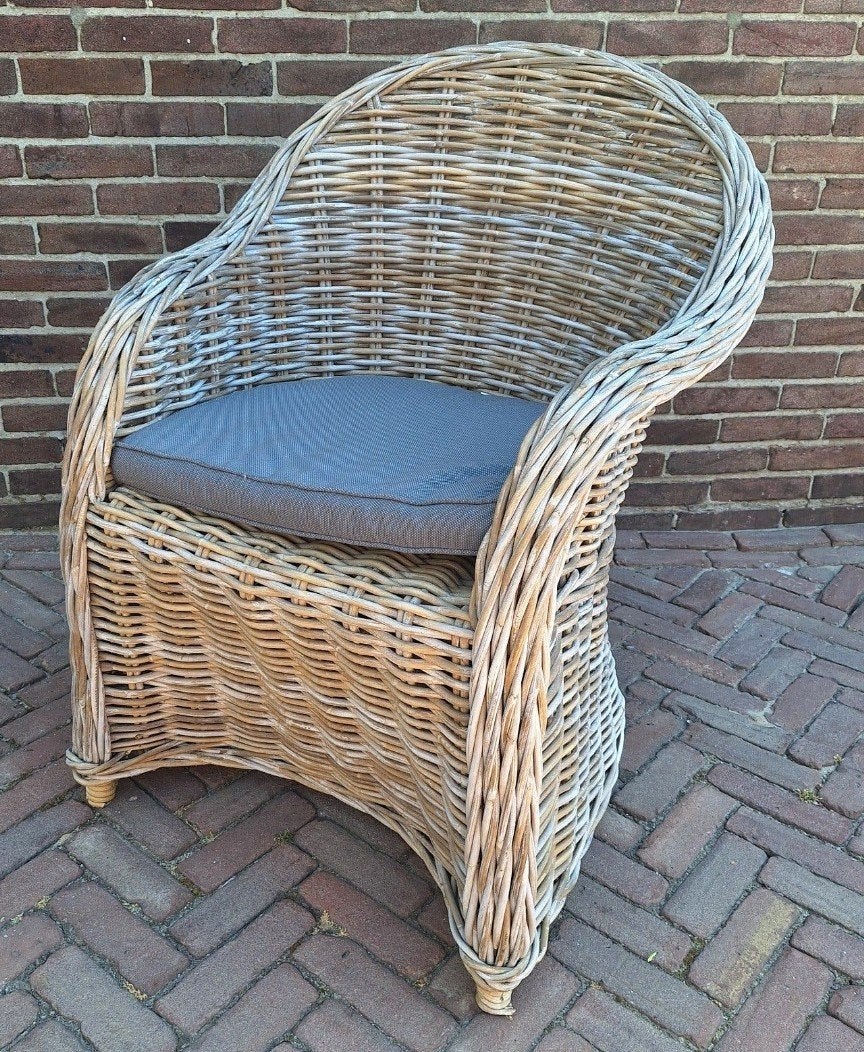 Rotan stoelen met kussen, 6 stuks, Ophalen, Zo goed als nieuw, Rotan