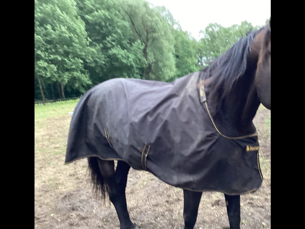 Bucas regen deken 0 gr, Gebruikt, Ripstop, Regendeken, Full (L)