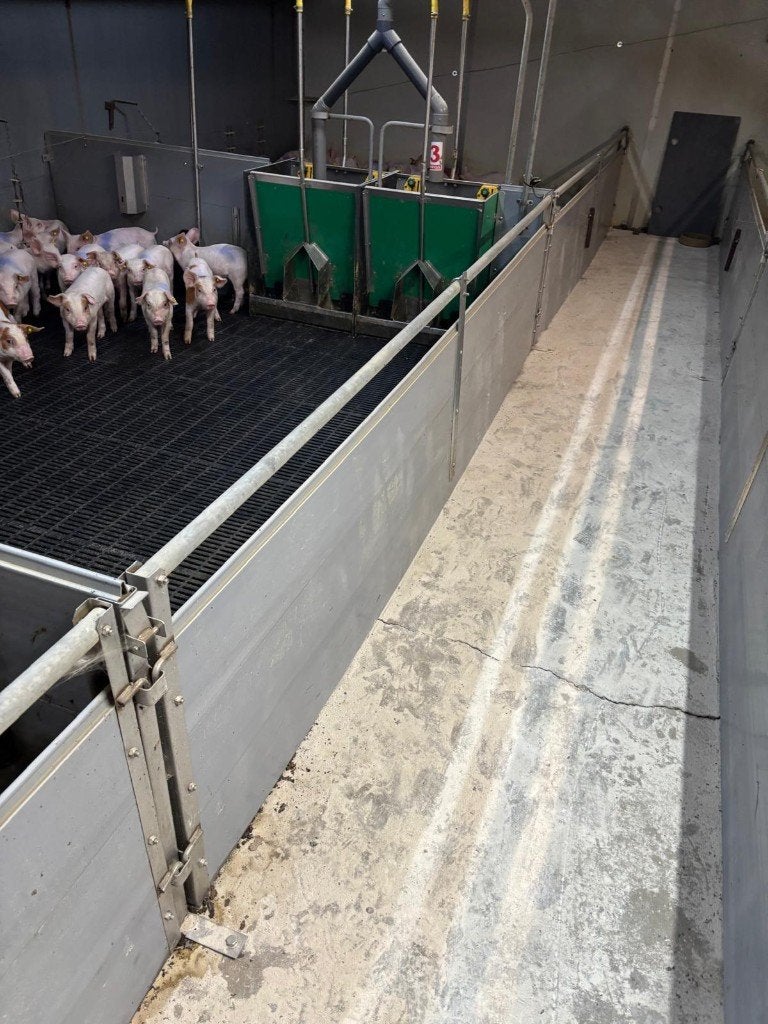 Hokinrichting voor biggen [561], Boekhorst Trading, Tim@boekhorsttrading.com, Singel 16, Horssen
