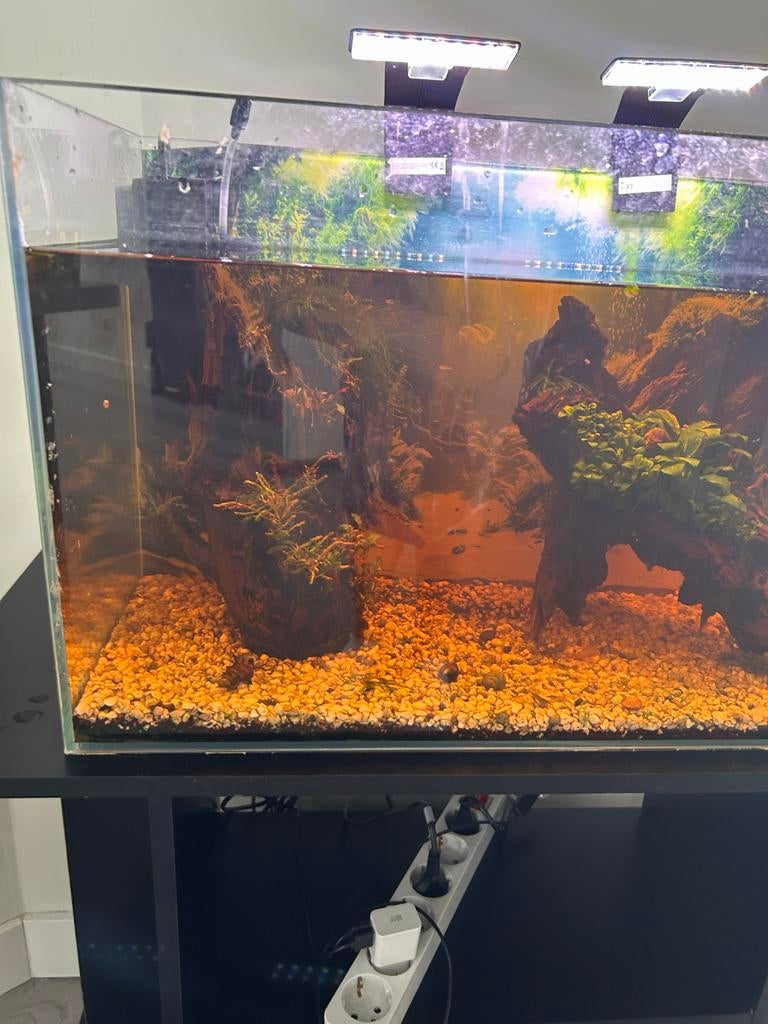 Aquarium € 50,- met takken pomp licht en verwarming, Ophalen of Verzenden, Zo goed als nieuw, Leeg aquarium