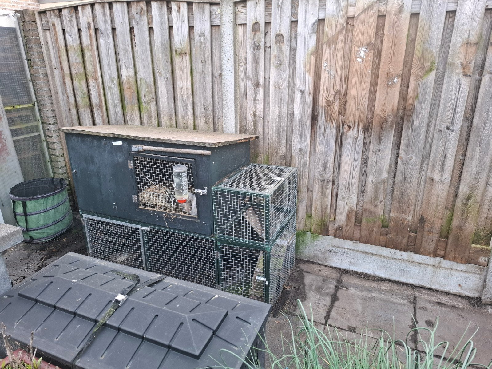 Zeer ruim konijnenhok of cavia buitenhok, Dieren en Toebehoren, Knaagdieren en Konijnen | Hokken en Kooien, Ophalen, 90 cm of meer