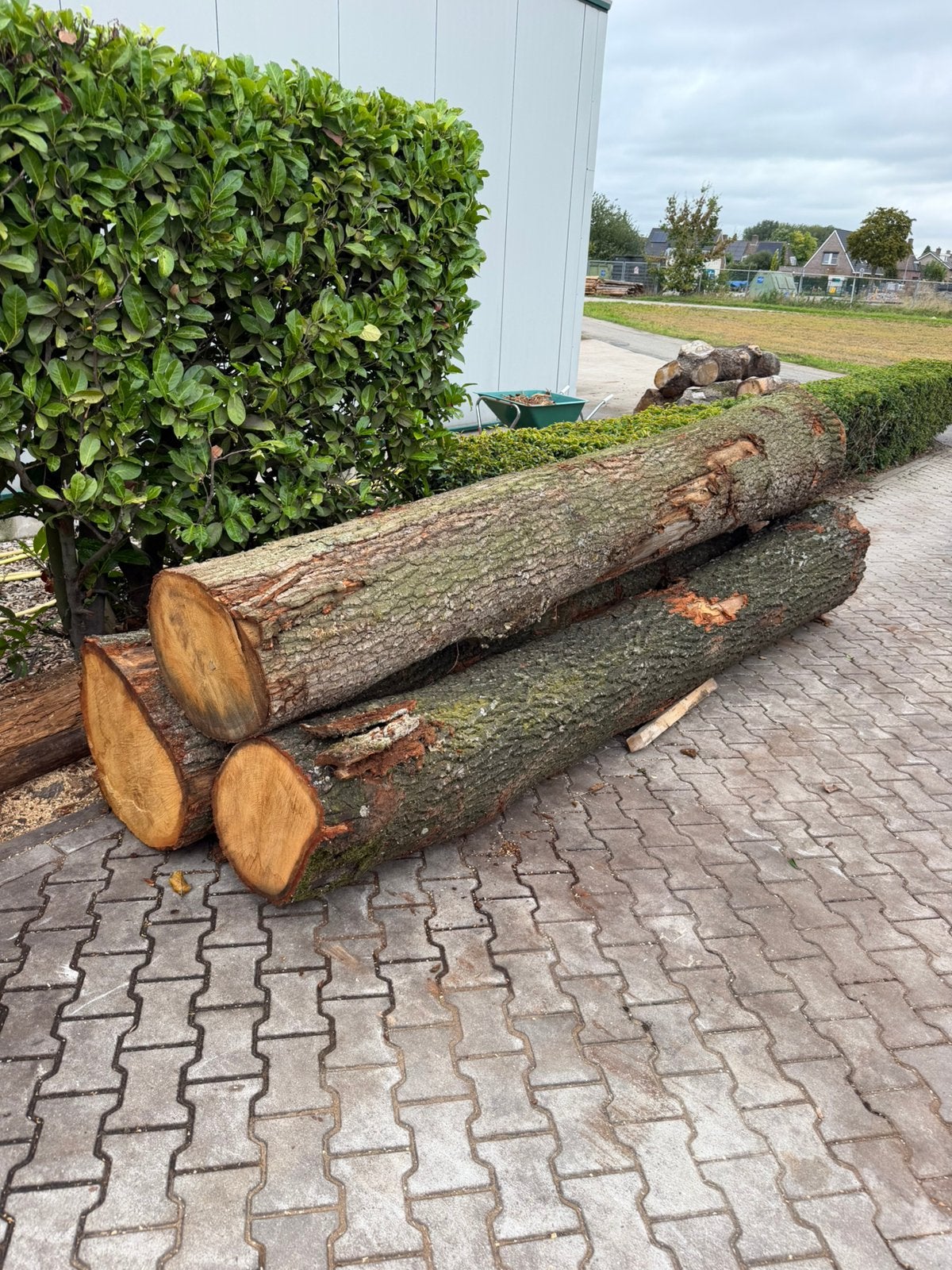 3 inlandse eiken zaaghout 370cm lang, 3 tot 6 m³, Ophalen, Eikenhout, Stammen