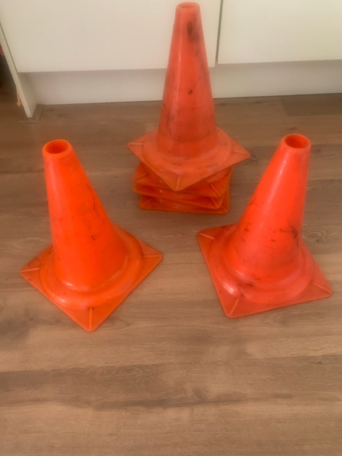 6 Grote Pionnen 22x32 cm - Gebruikt maar Goede Staat, Ophalen, Gebruikt