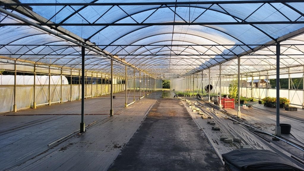 tunnelkas, Ophalen, Tot 1 ha, Tuinbouwbedrijf