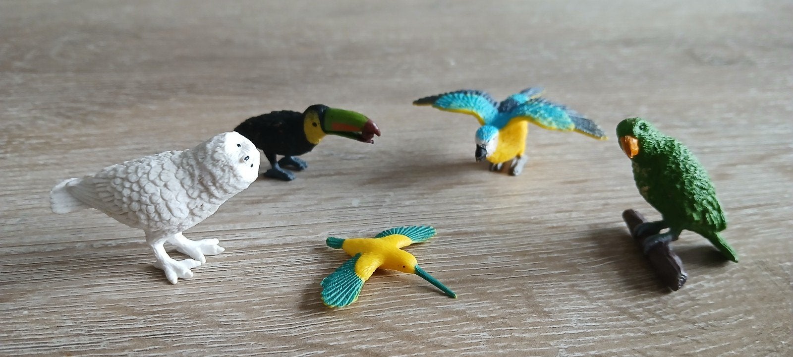 Kleine sneeuwuil macaw papegaai kolibrie toekan safari ltd, Verzamelen, Dierenverzamelingen, Ophalen of Verzenden, Gebruikt, Vogel