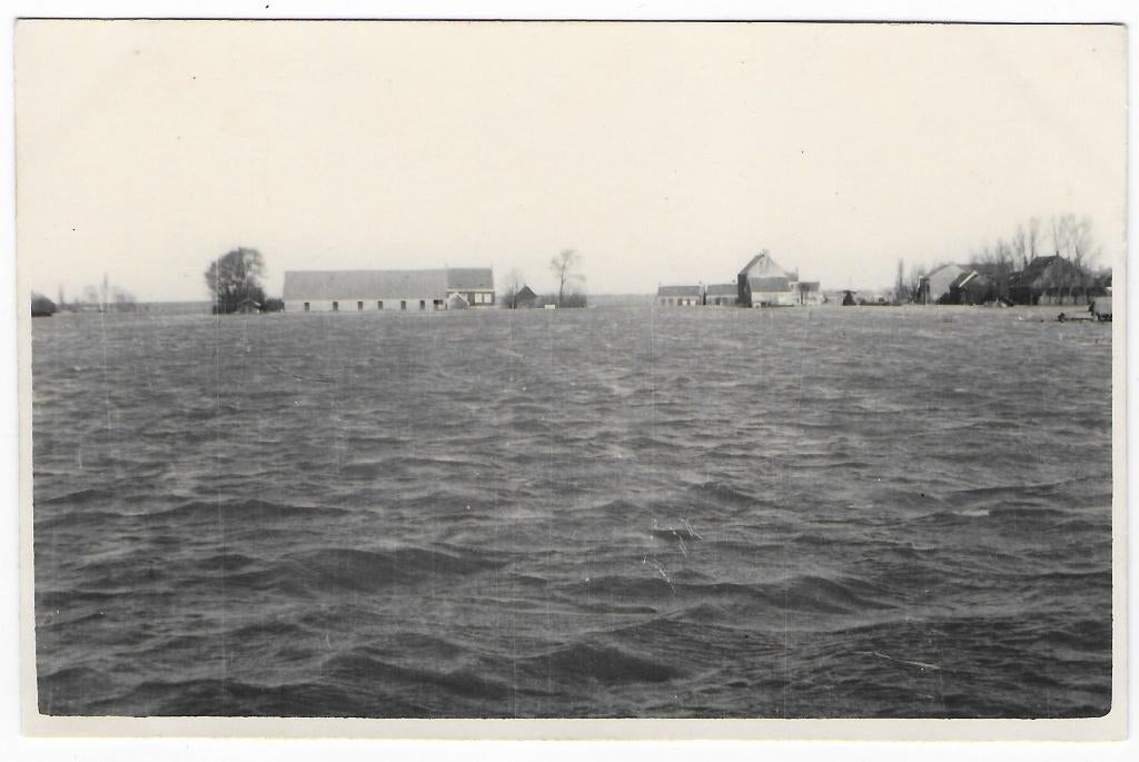 Nederland Watersnood Ongelopen Ansichtkaart ( B6839 ), Ophalen of Verzenden, 1940 tot 1960, Ongelopen