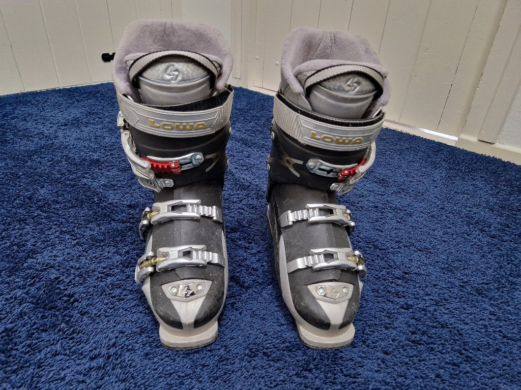Skischoenen, Sport en Fitness, 160 tot 180 cm, Gebruikt, Schoenen, Skiën