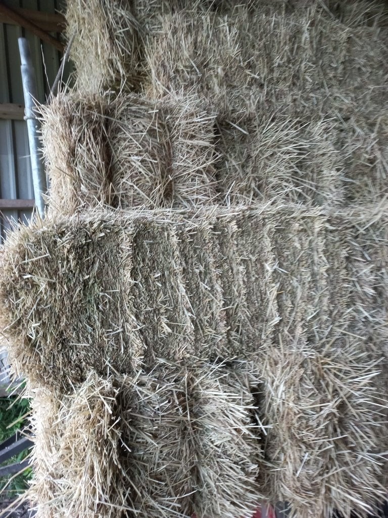 Hooibalen, Dieren en Toebehoren, Dierenvoeding, Ophalen, Vee