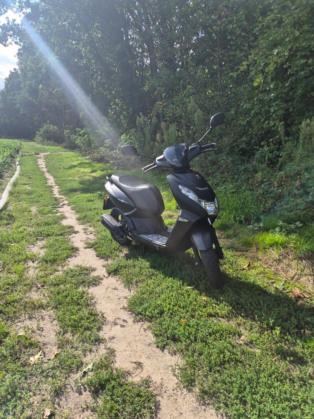 peugot kisbee 2020, Fietsen en Brommers, Ophalen, Gebruikt, Overige modellen, Maximaal 45 km/u