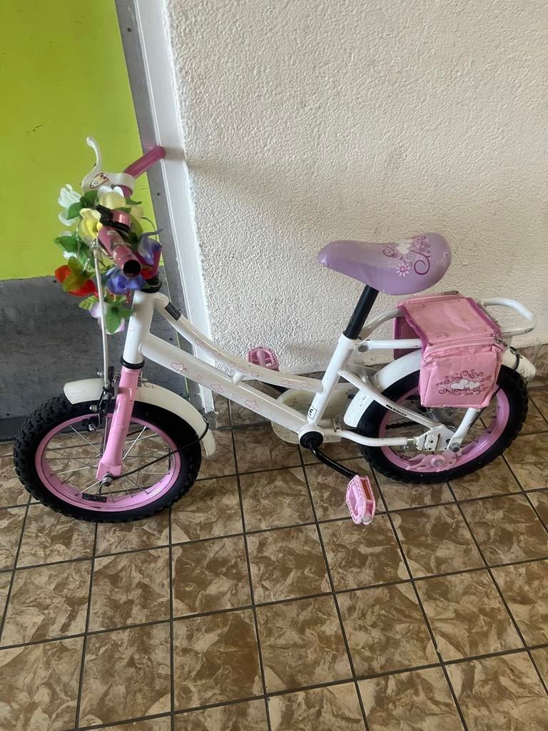 Kinderfiets Pegasus Power 20 inch, Ophalen of Verzenden, Zo goed als nieuw