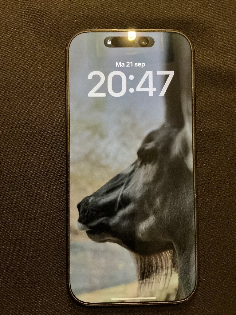 Apple iPhone 16 Pro 256Gb incl AppleCare+ & Diefstal&Verlies