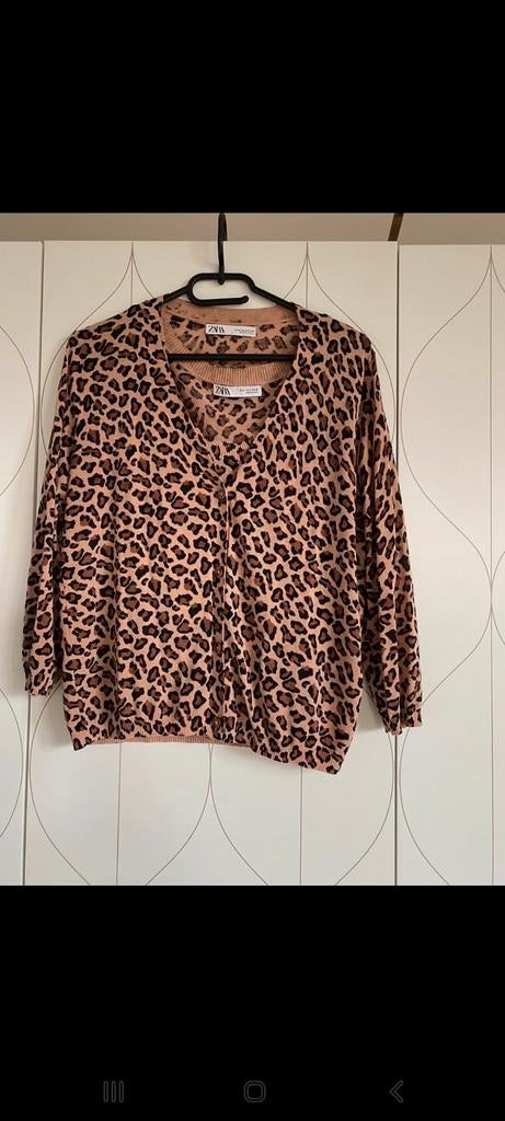 Zara top + shirt, Ophalen of Verzenden, Zo goed als nieuw, Korte mouw