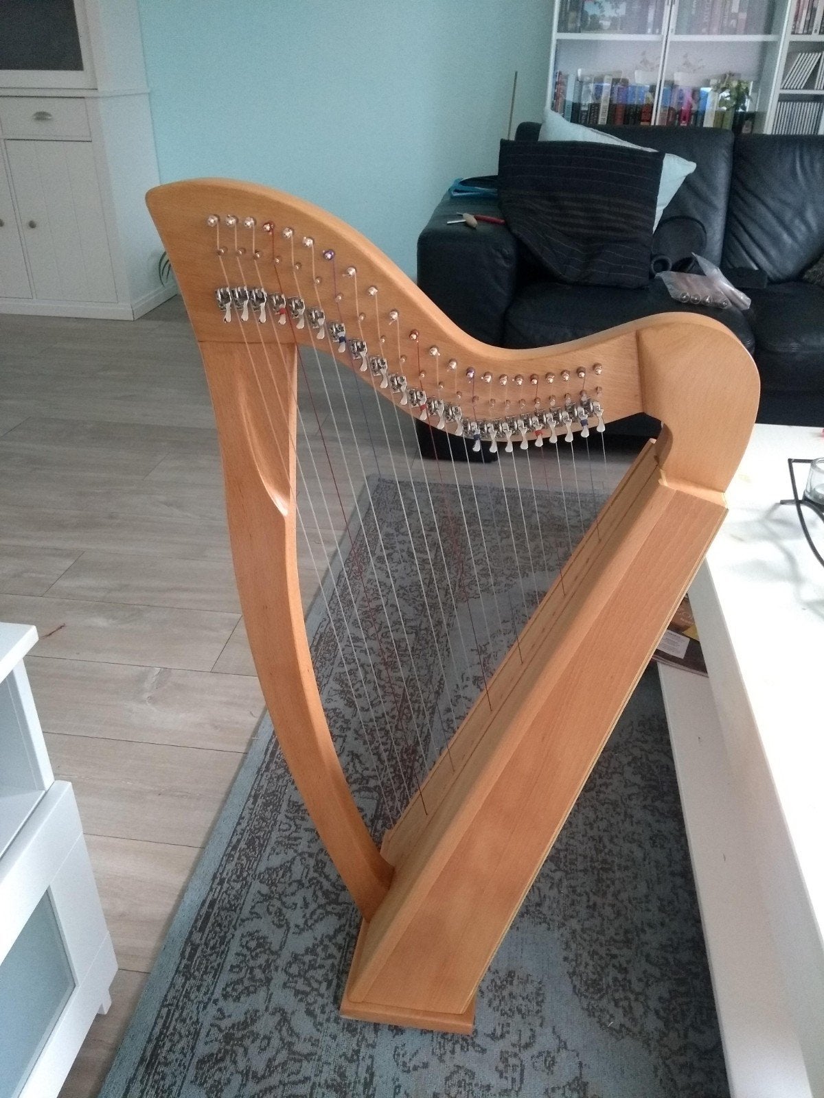 Nette student harp 22 snaren met haakjes, Muziek en Instrumenten, Snaarinstrumenten | Harpen, Ophalen, Zo goed als nieuw