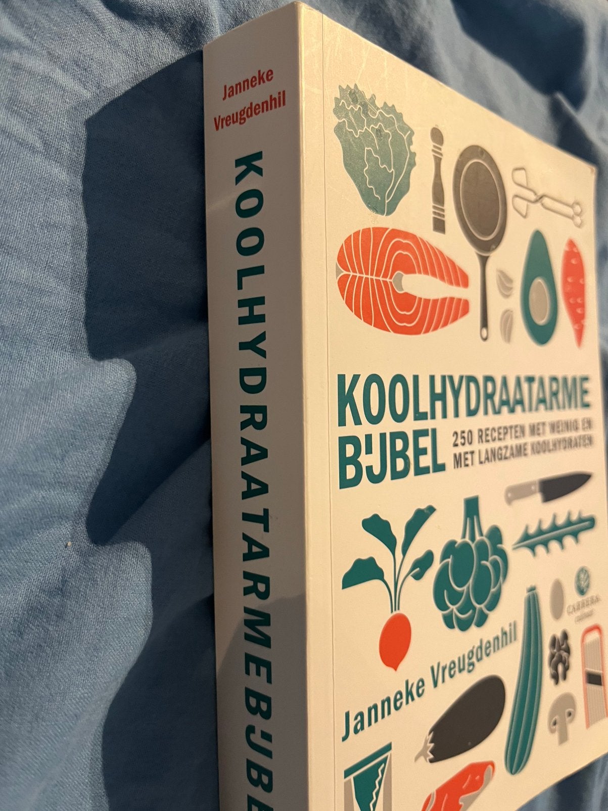 Koolhydraatarme Bijbel kookboek van Janneke Vreugdenhil, Boeken, Ophalen of Verzenden, Zo goed als nieuw, Gezondheid en Conditie