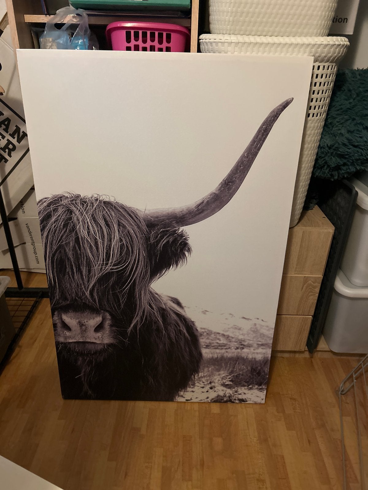 Schilderij Schotse Hooglander - Zwart-wit Canvas, Ophalen, Zo goed als nieuw, Schilderij, 75 – 100
