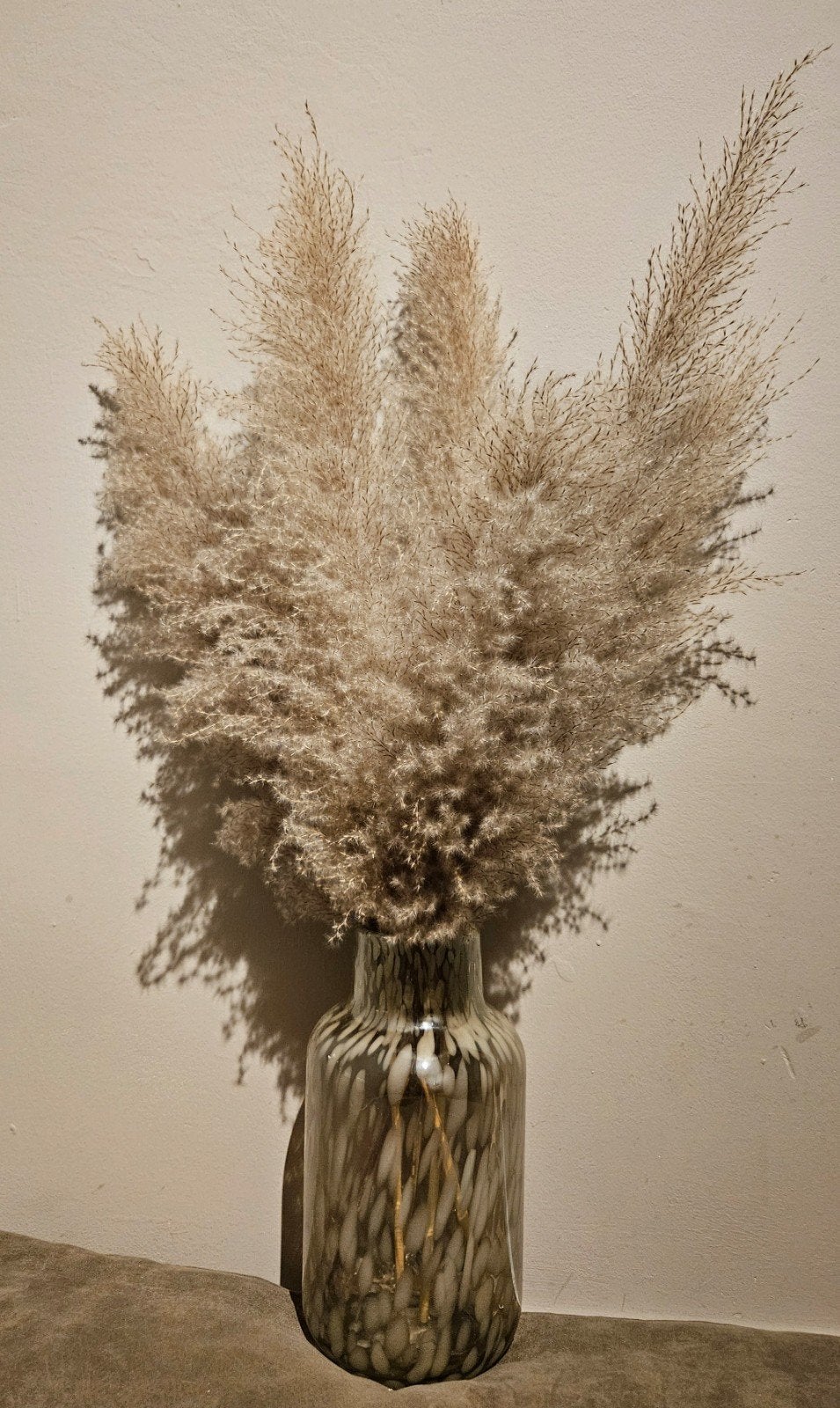 Glazen Vaas Beige Met Pluimen, Ophalen, Gebruikt, Beige, Glas