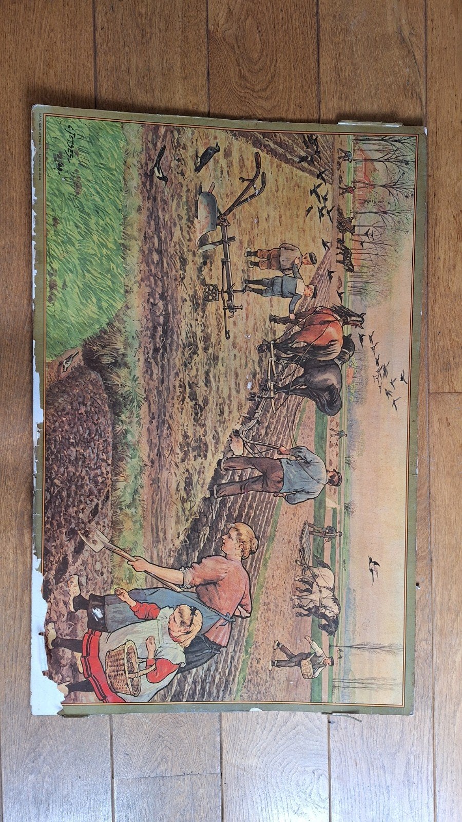 Oude schoolplaat paarden ploegen op het land
62x95 cm, Antiek en Kunst, Ophalen