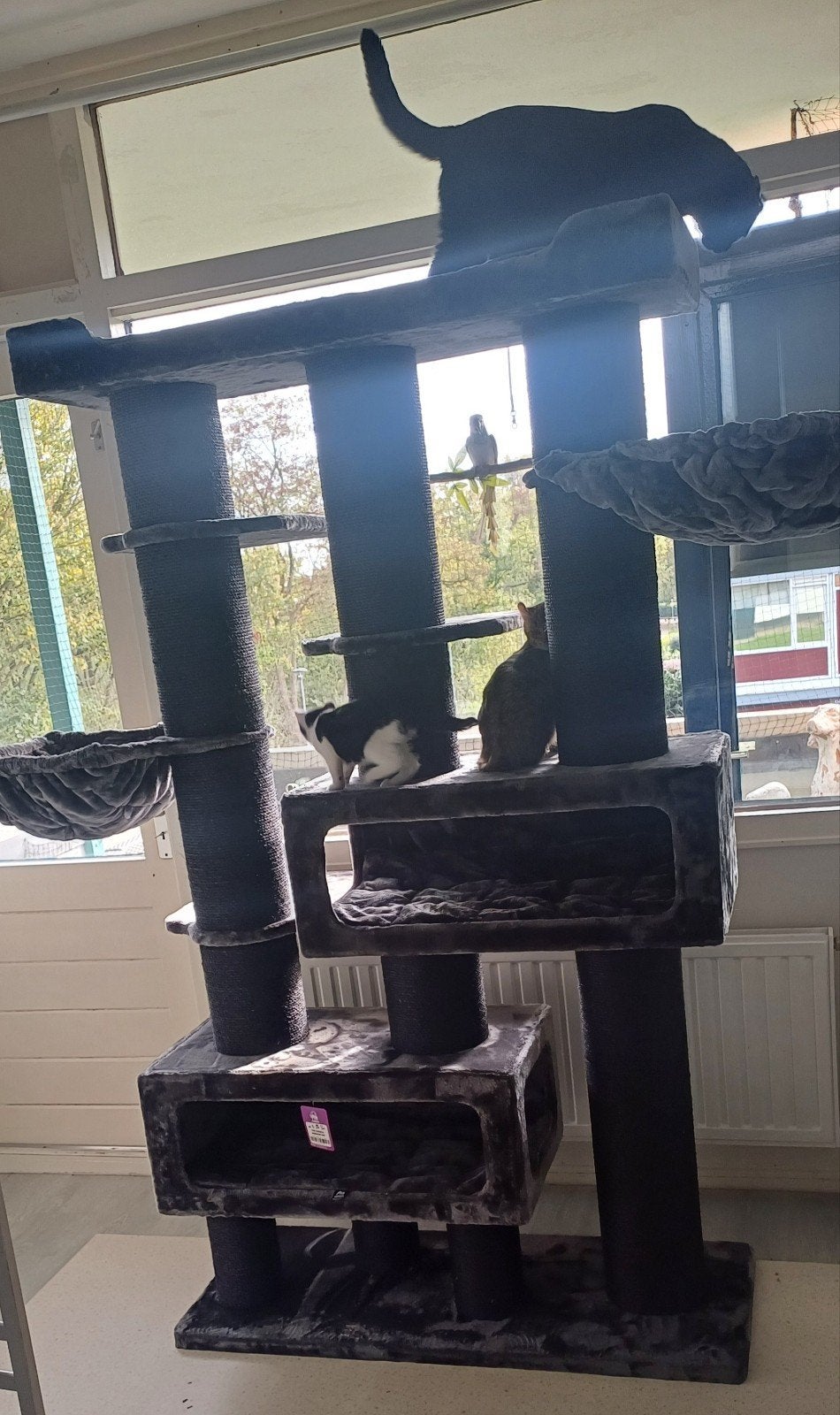 Te Koop, Petrebels krabpaal., Ophalen, Zo goed als nieuw, Krabpaal