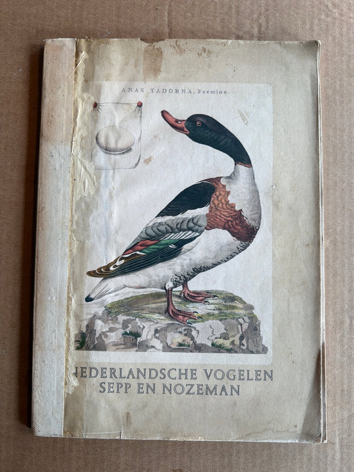 Nederlandsche Vogelen Sepp en Nozeman - Antiek Boek, Boeken, Ophalen of Verzenden, Gelezen, Vogels