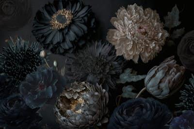 Happy Wall Fotobehang 'Dark Moody Flowers' 460x260cm, Ophalen of Verzenden, 10 tot 25 m², Zwart