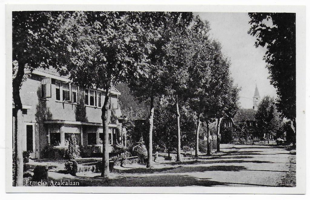 Ermelo Azalealaan ongelopen Ansichtkaart ( B7141 ), Ophalen of Verzenden, 1960 tot 1980, Gelopen, Gelderland