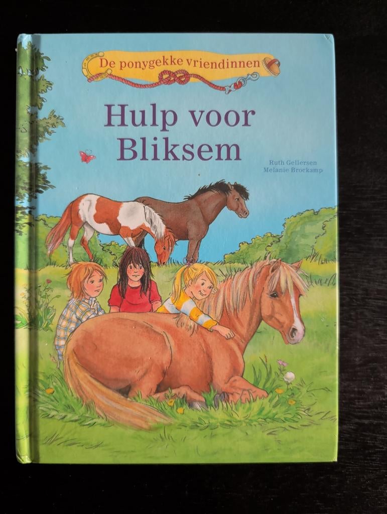 De ponygekke vriendinnen: Hulp voor Bliksem - paarden , pony, Ophalen of Verzenden, Zo goed als nieuw, Ruth Gellersen, Melanie Brokamp