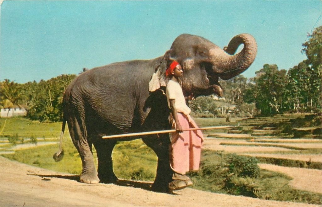 701-454-045 Ceylon, Verzamelen, Verzenden, Voor 1920, Overig Europa